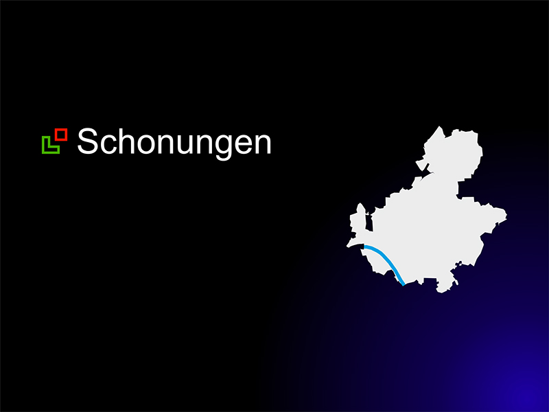 Schonungen